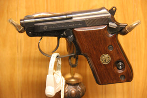 BERETTA MODEL 21A BOBCAT